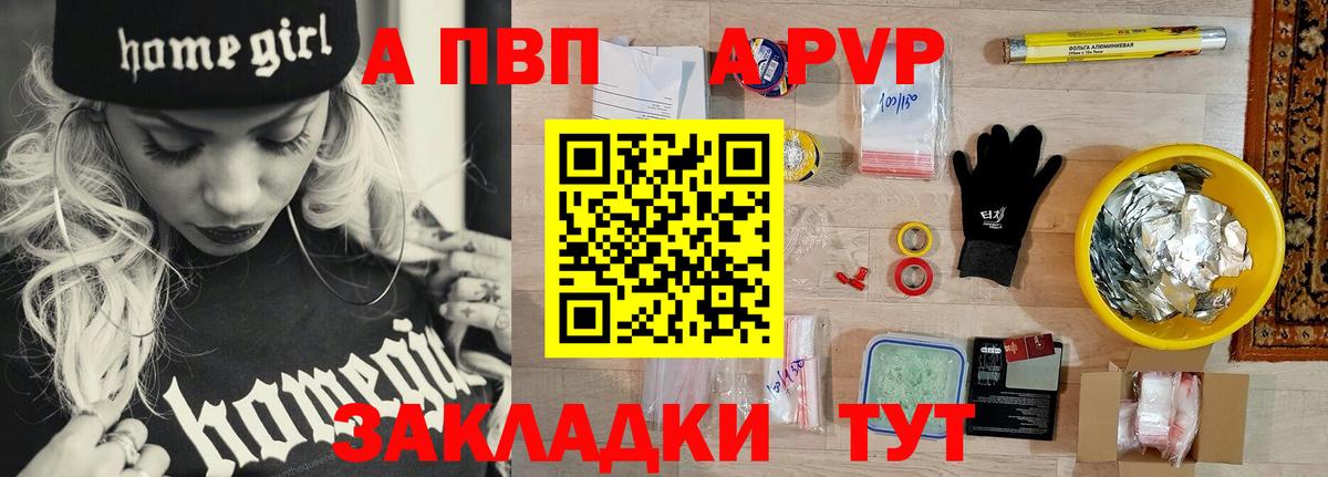 Альфа ПВП СК Туапсе