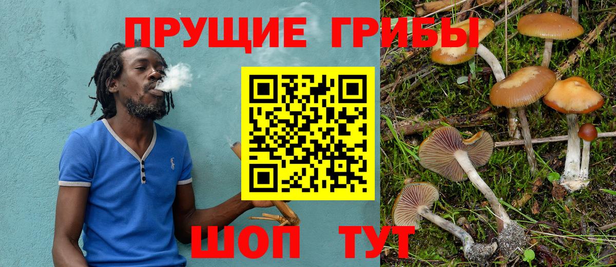Туапсе  Галлюциногенные грибы ЛСД  Галлюциногенные грибы GOLDEN TEACHER  Вход с VPN 